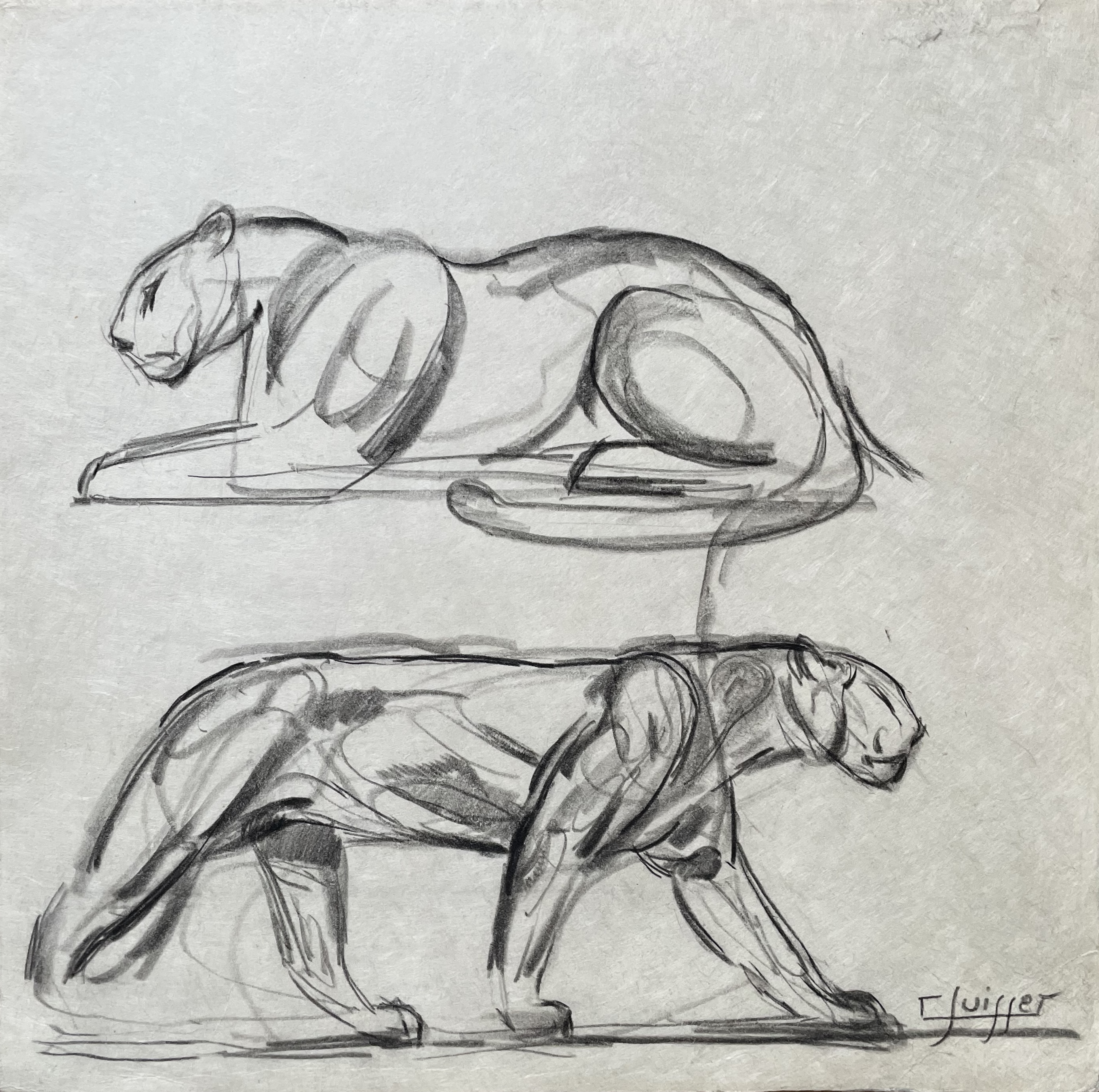 Panthères marchant et couchée